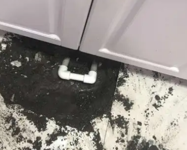 呈贡查漏水哪家好